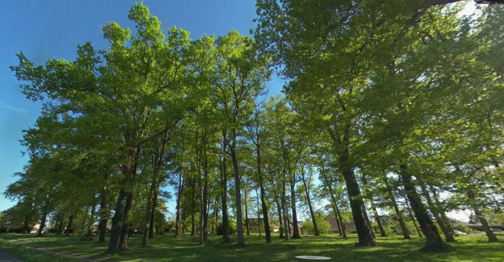 Ouverture des inscriptions sur la liste des demandeurs souhaitant acheter du bois de chauffage communal – saison 2026/2027